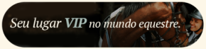 Seu lugar - topo